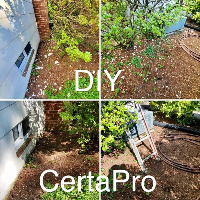 Images CertaPro Painters of Arlington, VA