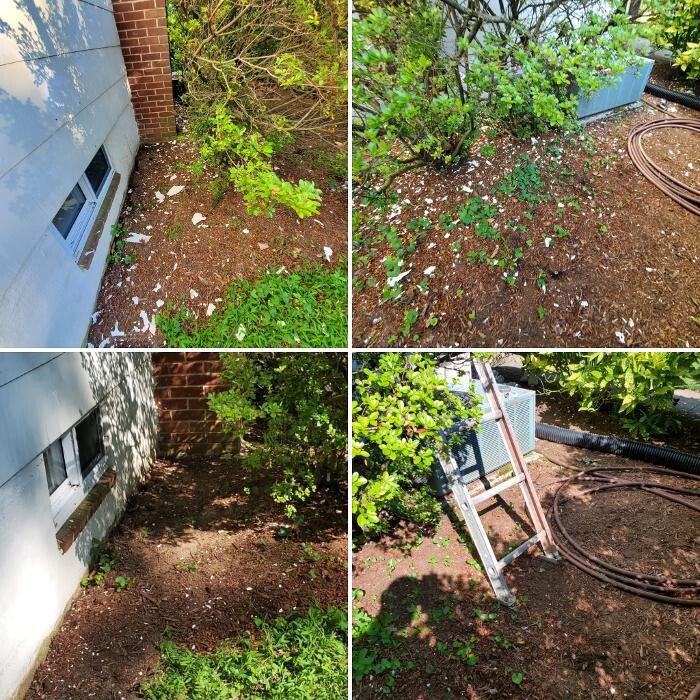 Images CertaPro Painters of Arlington, VA