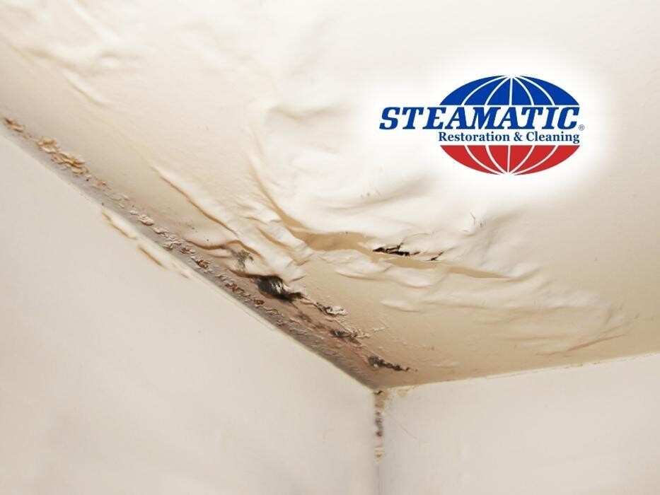 Images Steamatic of Grand Forks