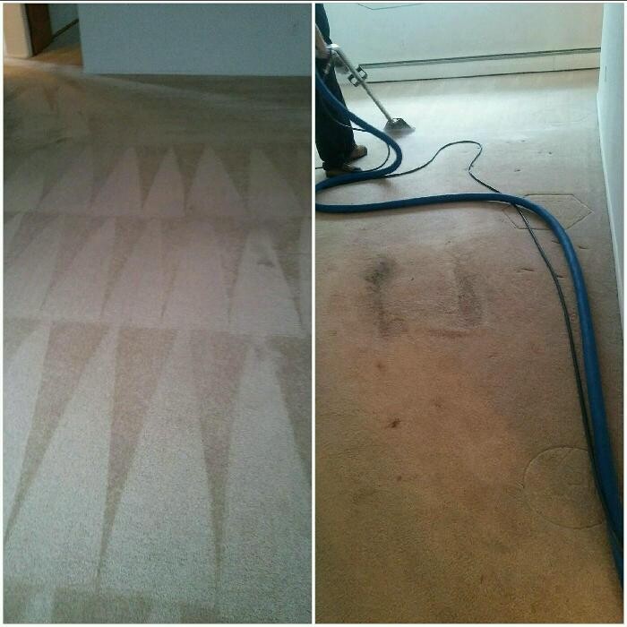 Images Steamatic of Grand Forks