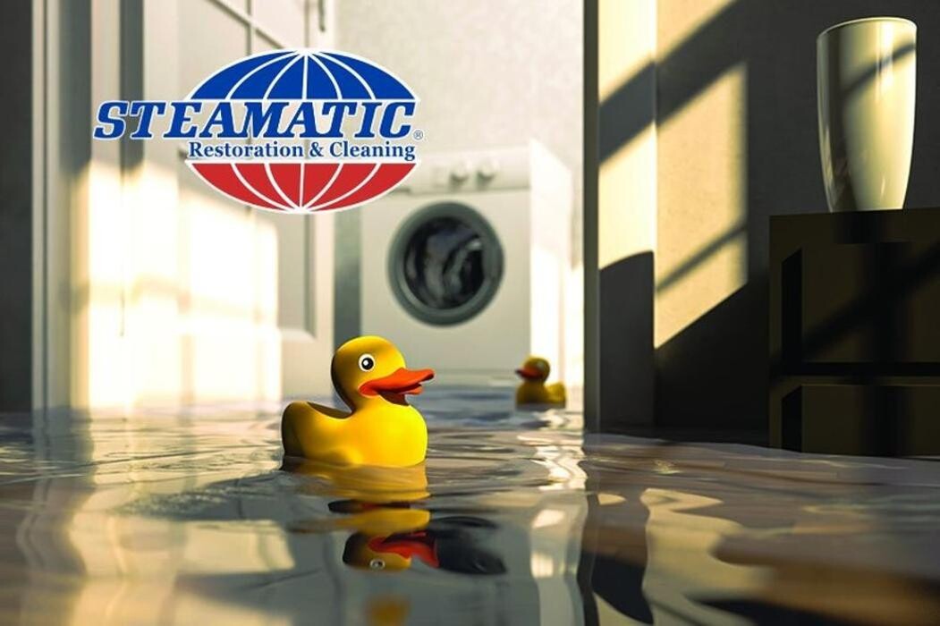 Images Steamatic of Grand Forks