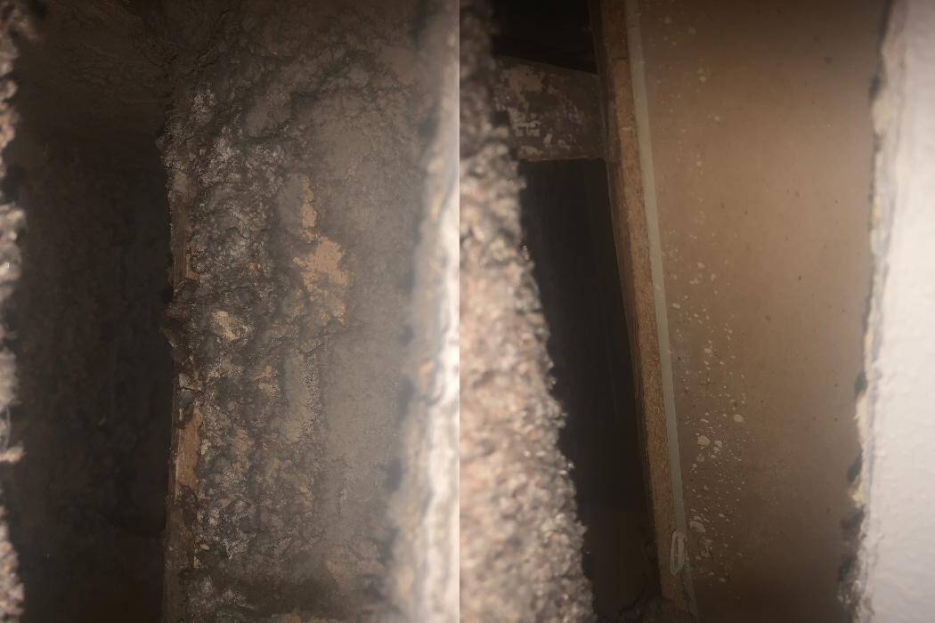 Images Steamatic of Grand Forks