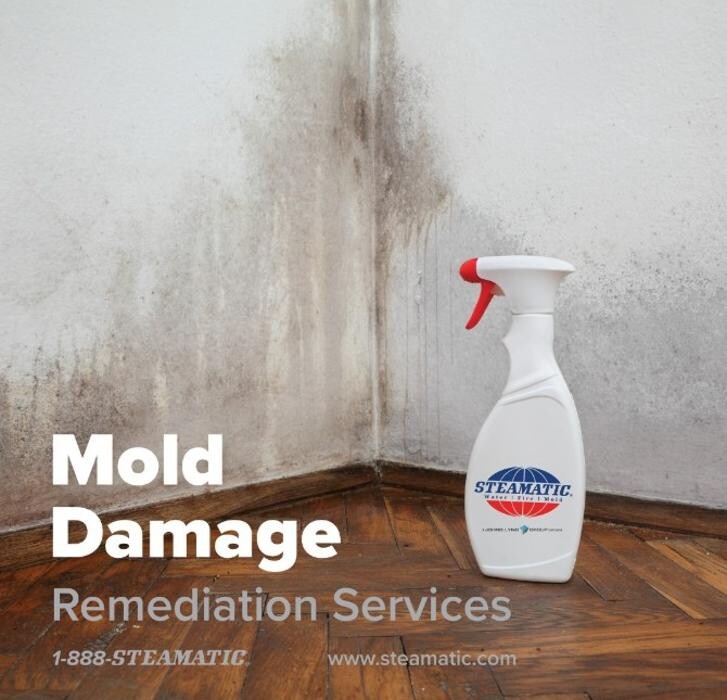 Images Steamatic of Grand Forks