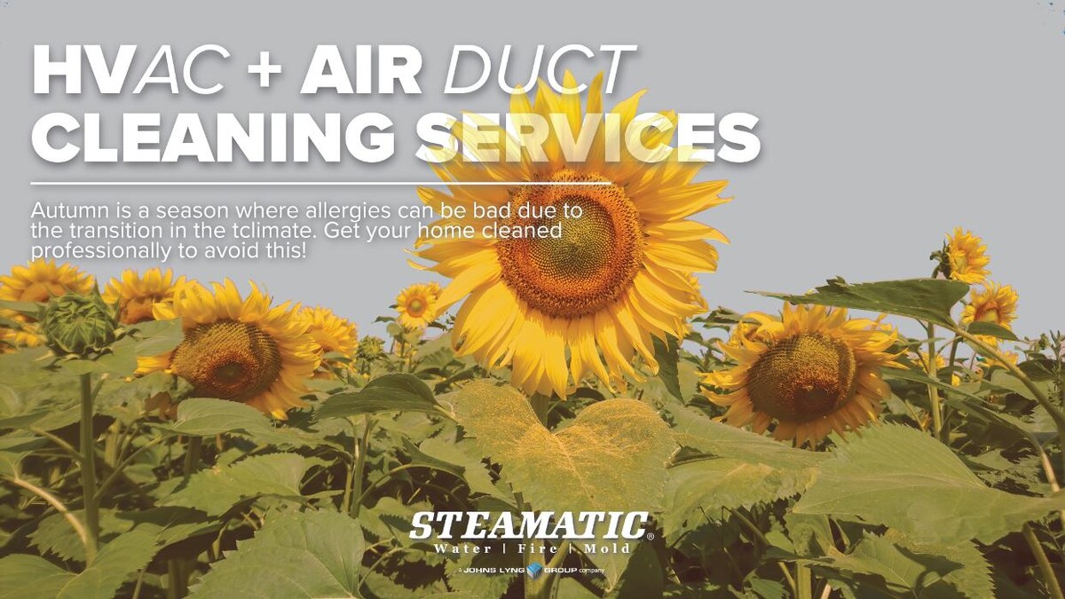 Images Steamatic of Grand Forks