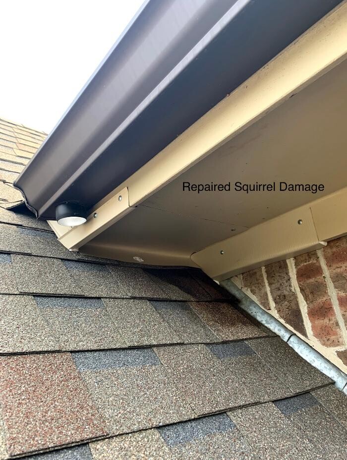 Images SafeHaven Pest Control