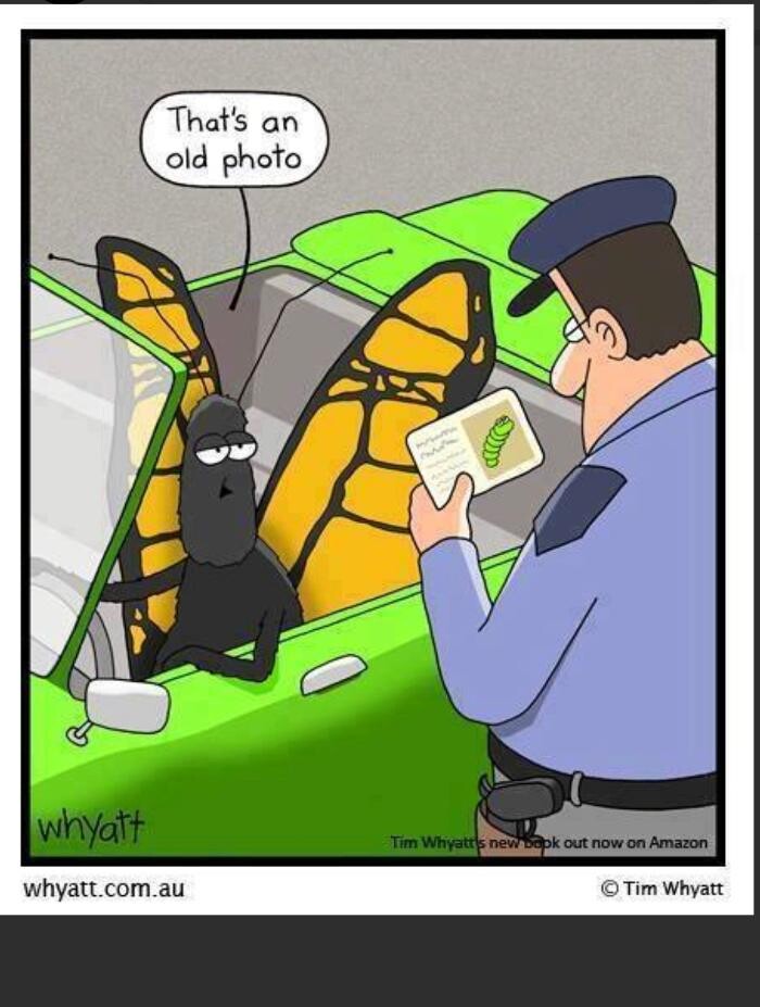 Images SafeHaven Pest Control