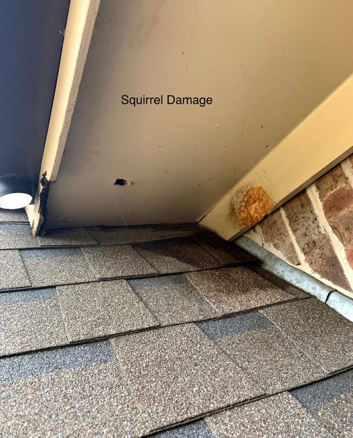 Images SafeHaven Pest Control