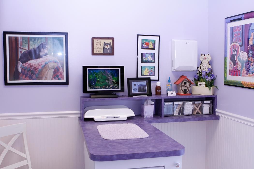 Images Cat Hospital of Vero Beach