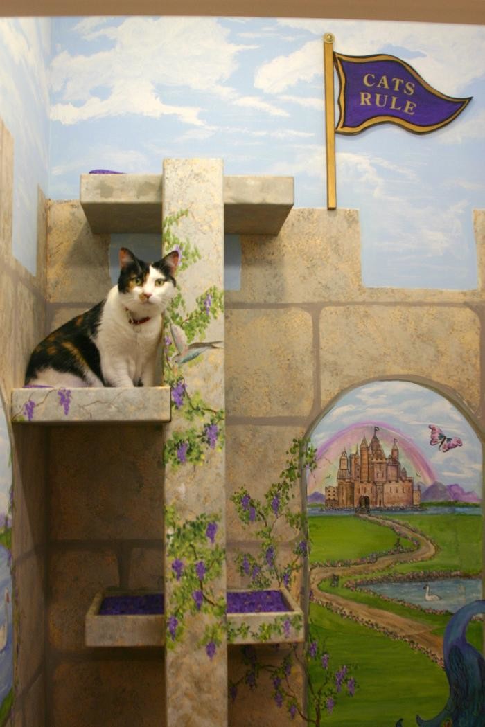 Images Cat Hospital of Vero Beach