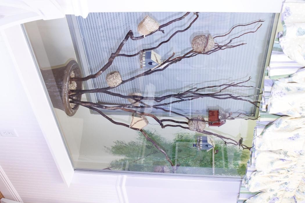 Images Cat Hospital of Vero Beach