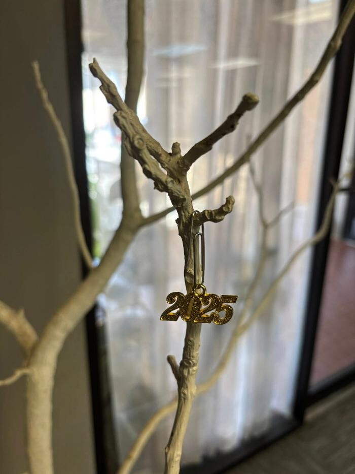 Images Schroeder Chiropractic