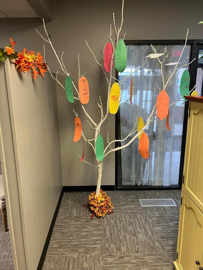 Images Schroeder Chiropractic