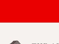 Website Screenshot The Ark Veterinary Clinic