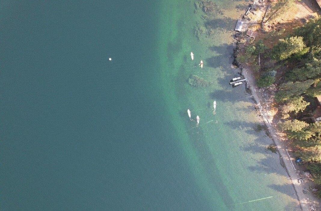 Images Bistline Law, PLLC