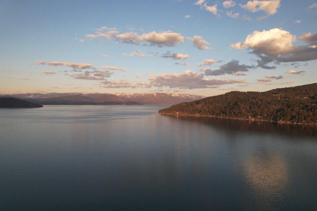 Images Bistline Law, PLLC