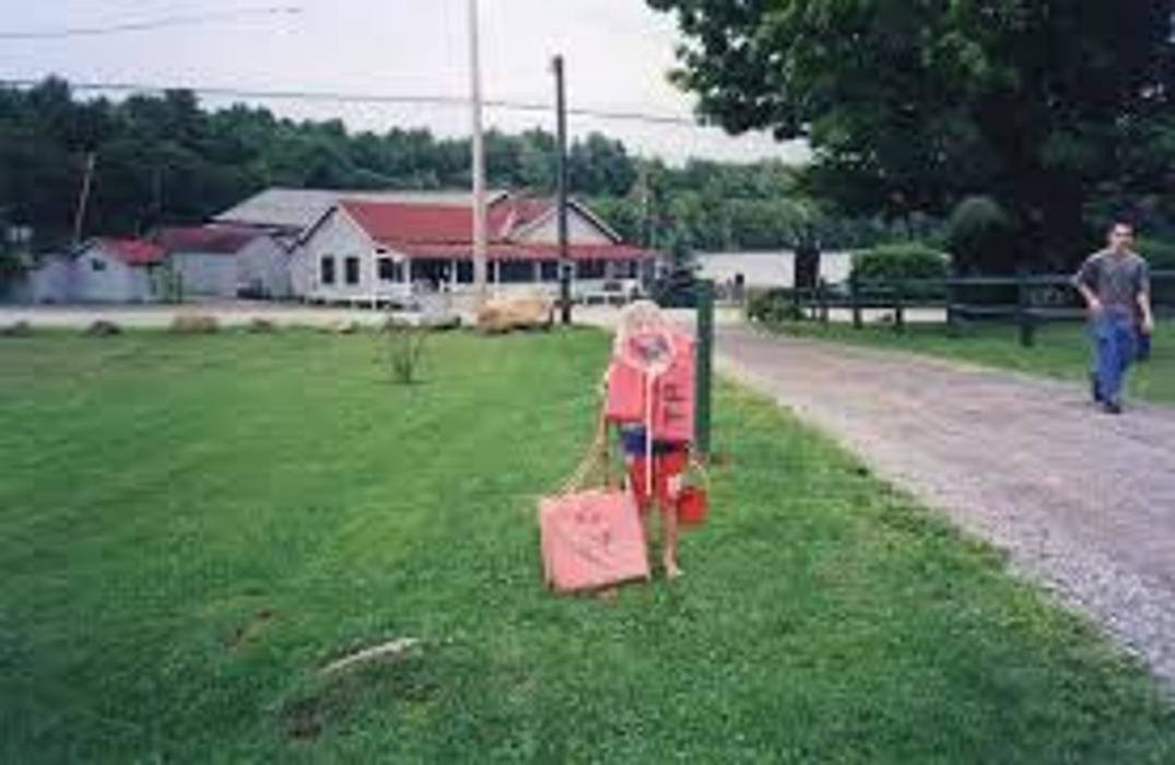 Images Twin Pines on Trout Lake