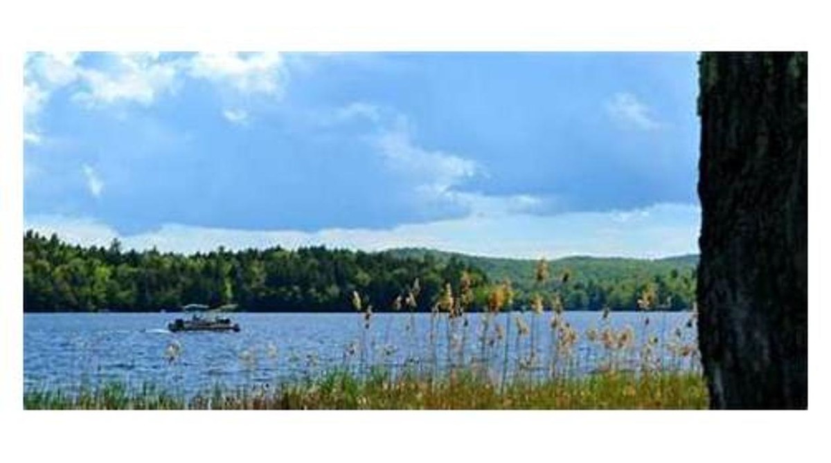 Images Twin Pines on Trout Lake