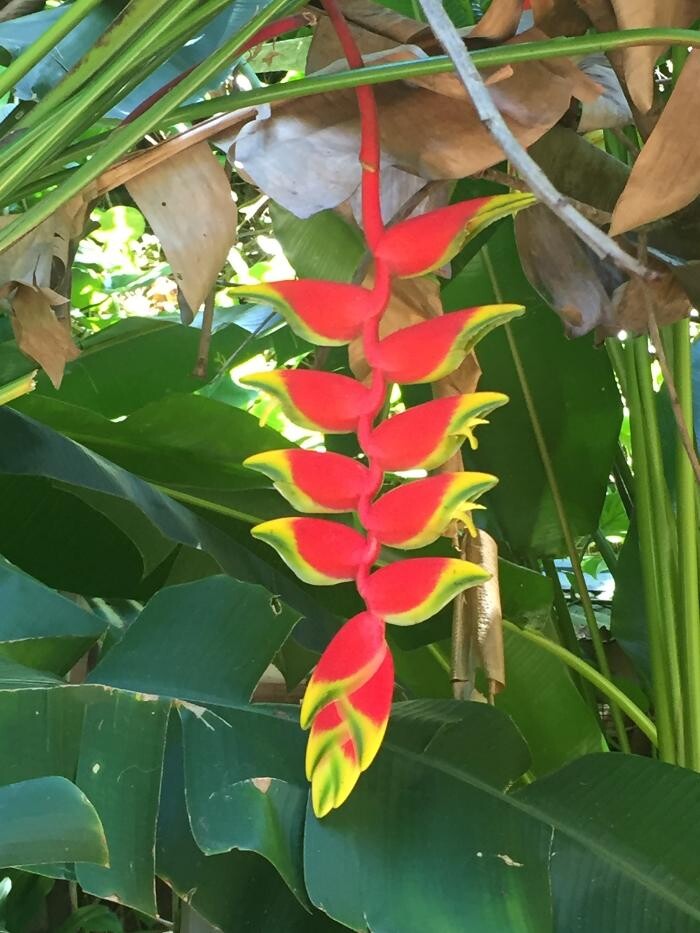 Images Magnified Vacations CruiseOne