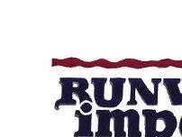 Website Screenshot Runway Imports Inc