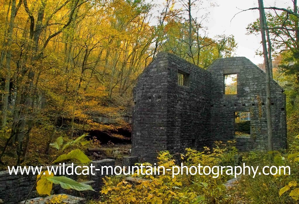 Images Wildcat Mountain Photography