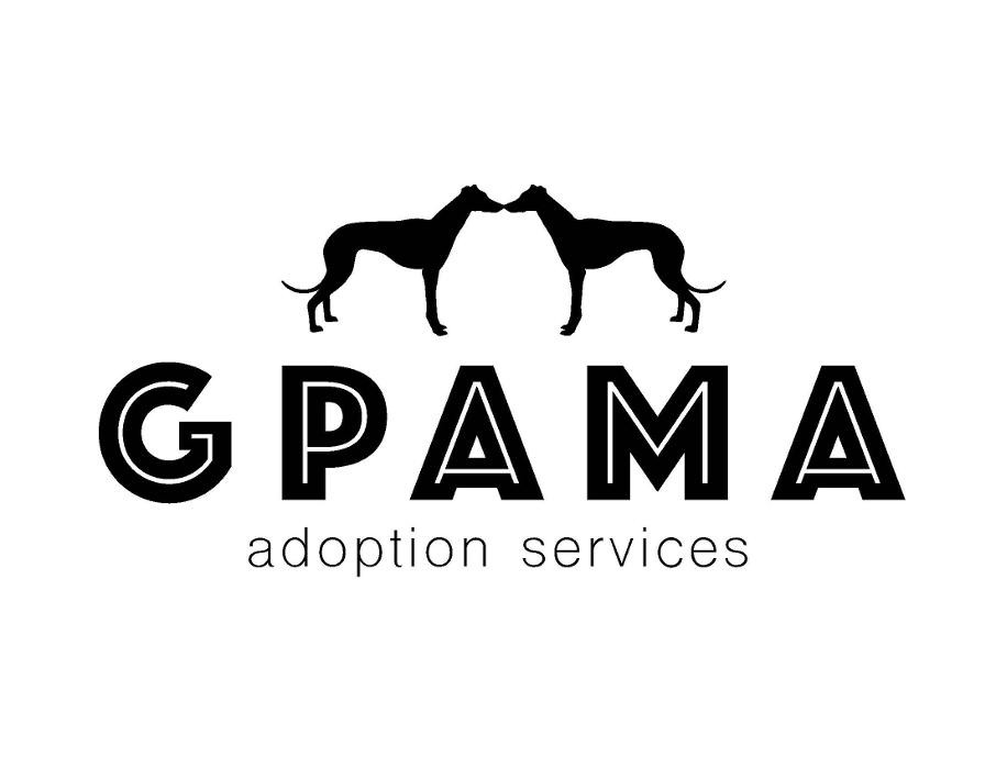 Images Greyhound Pets of America Massachusetts