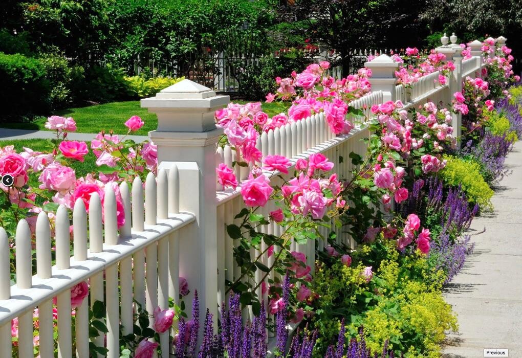 Images Barron Landscaping Inc