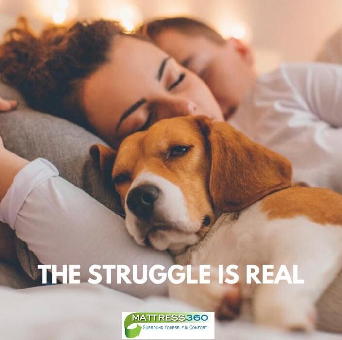 Images Mattress360
