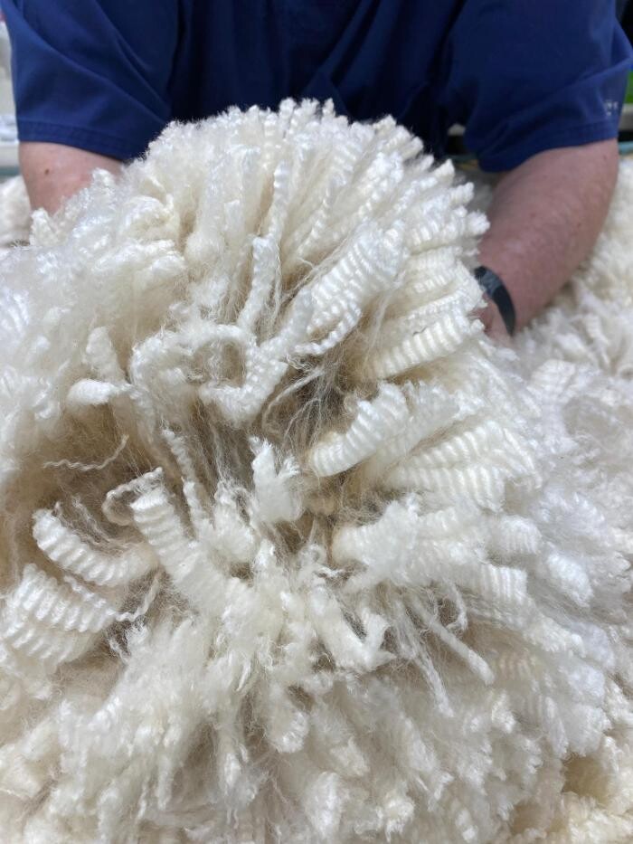 Images Quarry Critters Alpaca Ranch