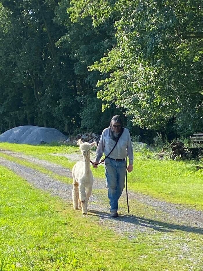 Images Quarry Critters Alpaca Ranch
