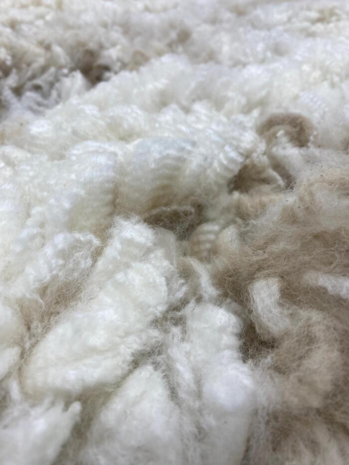 Images Quarry Critters Alpaca Ranch