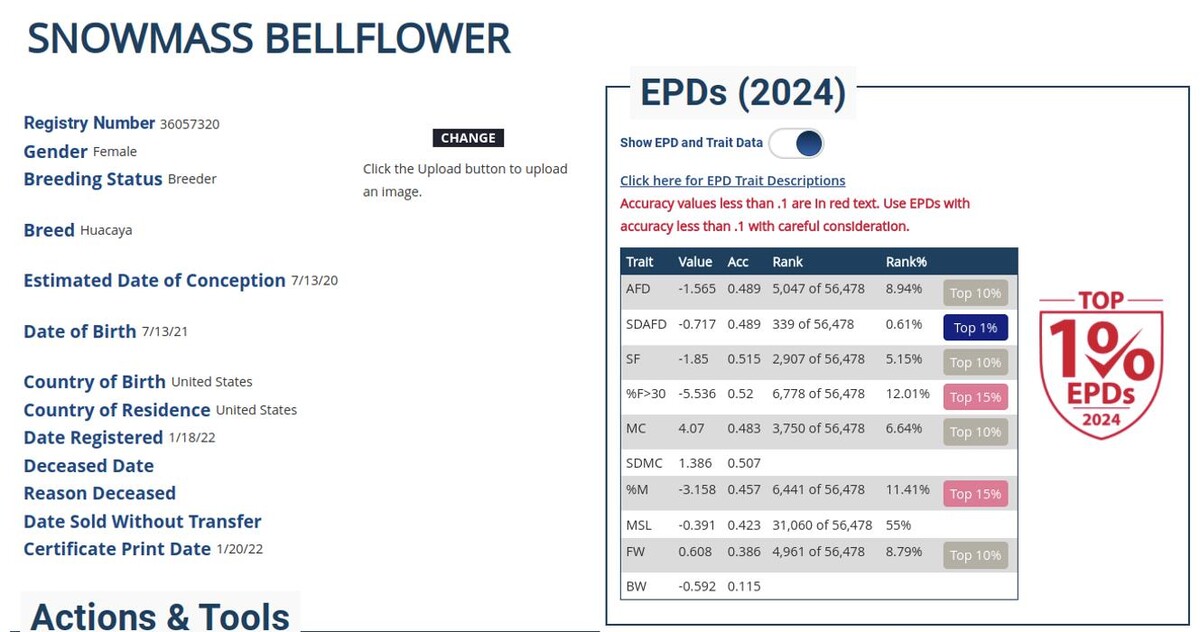 Images Quarry Critters Alpaca Ranch