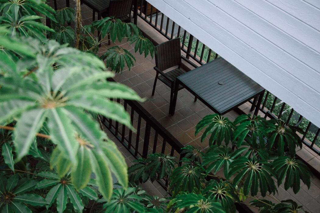 Images New Leaf Wellness Center