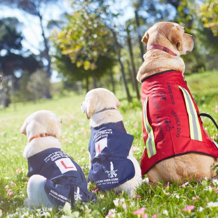 Images New Leaf Wellness Center