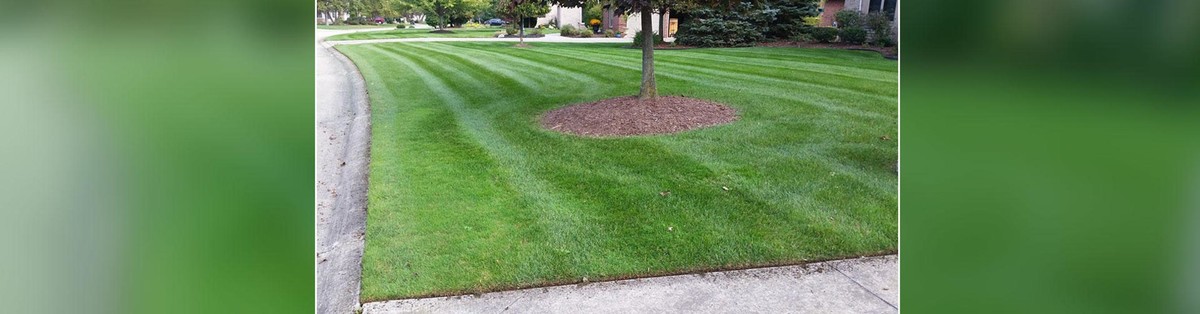 Images A & R Lawn Care, Inc.