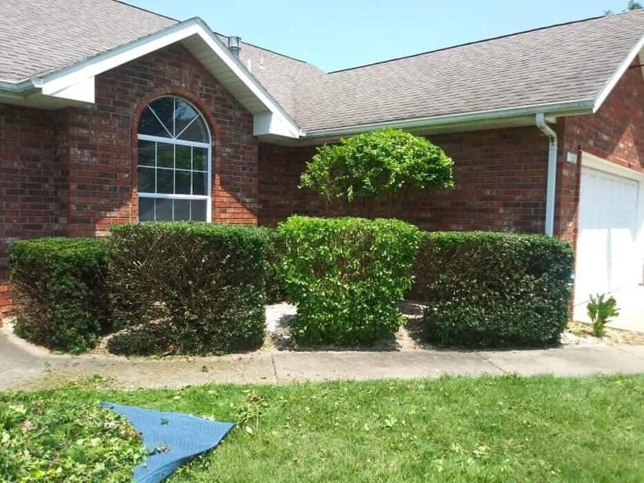 Images Proformance Lawn Care