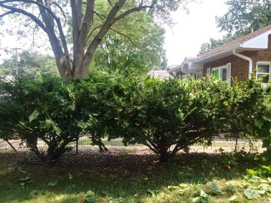 Images Proformance Lawn Care