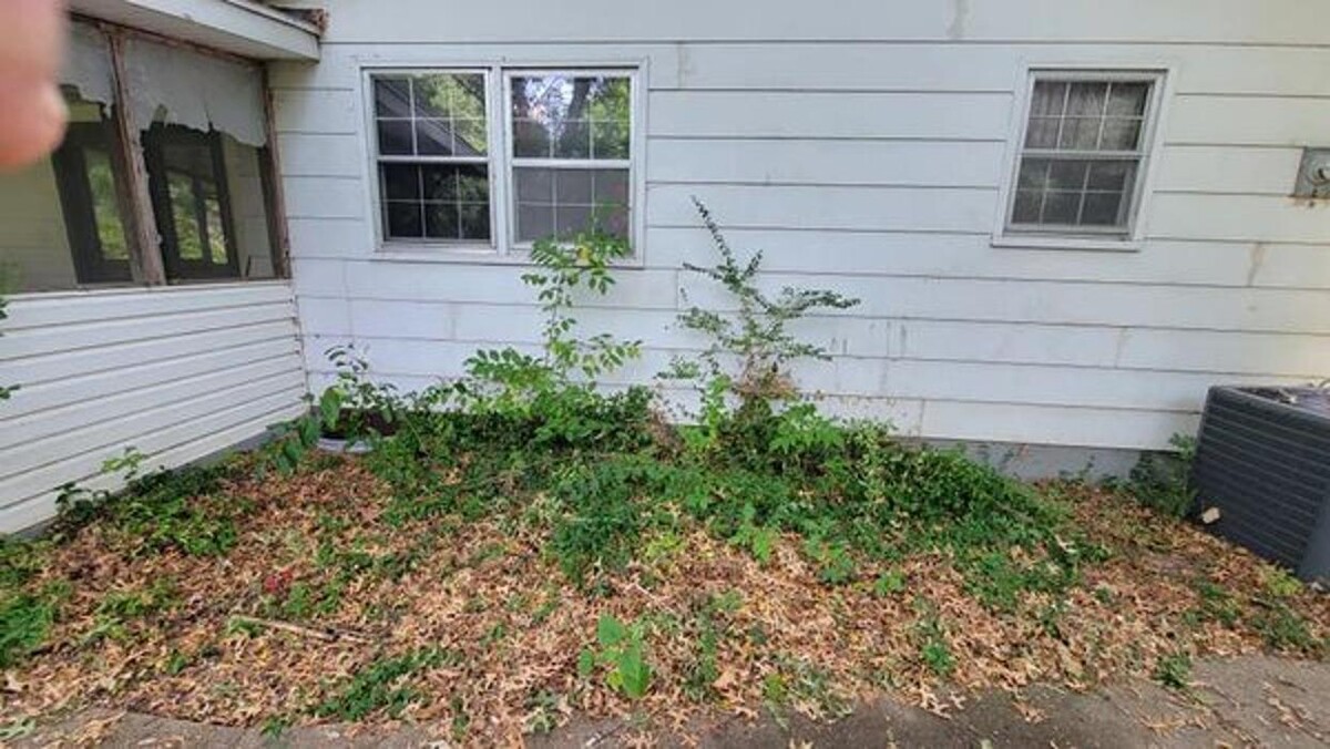 Images Proformance Lawn Care