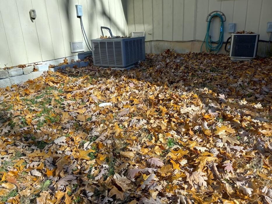 Images Proformance Lawn Care