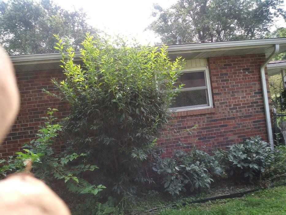 Images Proformance Lawn Care