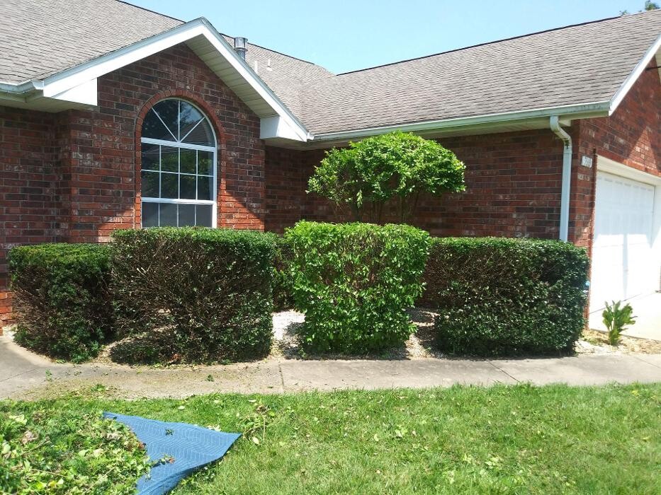 Images Proformance Lawn Care