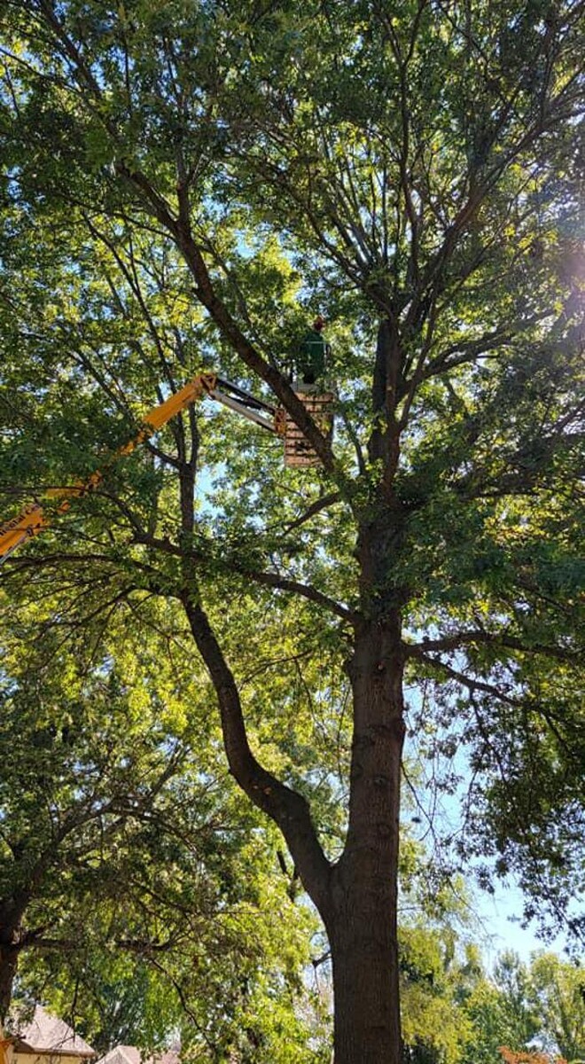 Images Proformance Lawn Care