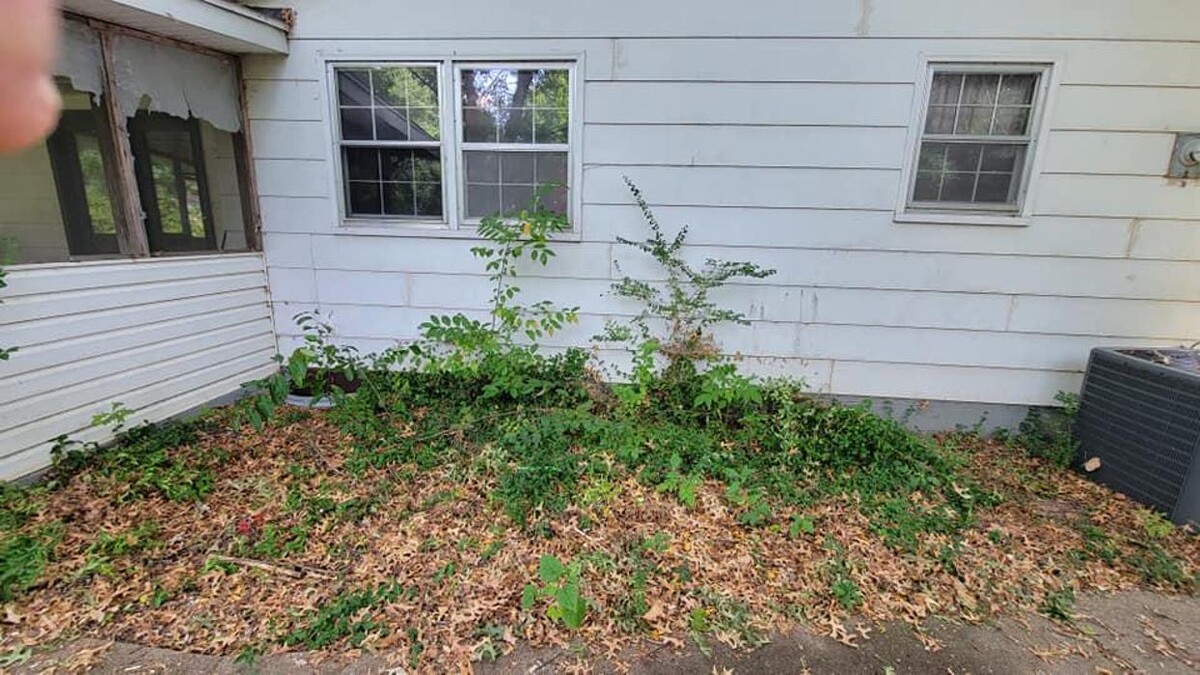 Images Proformance Lawn Care