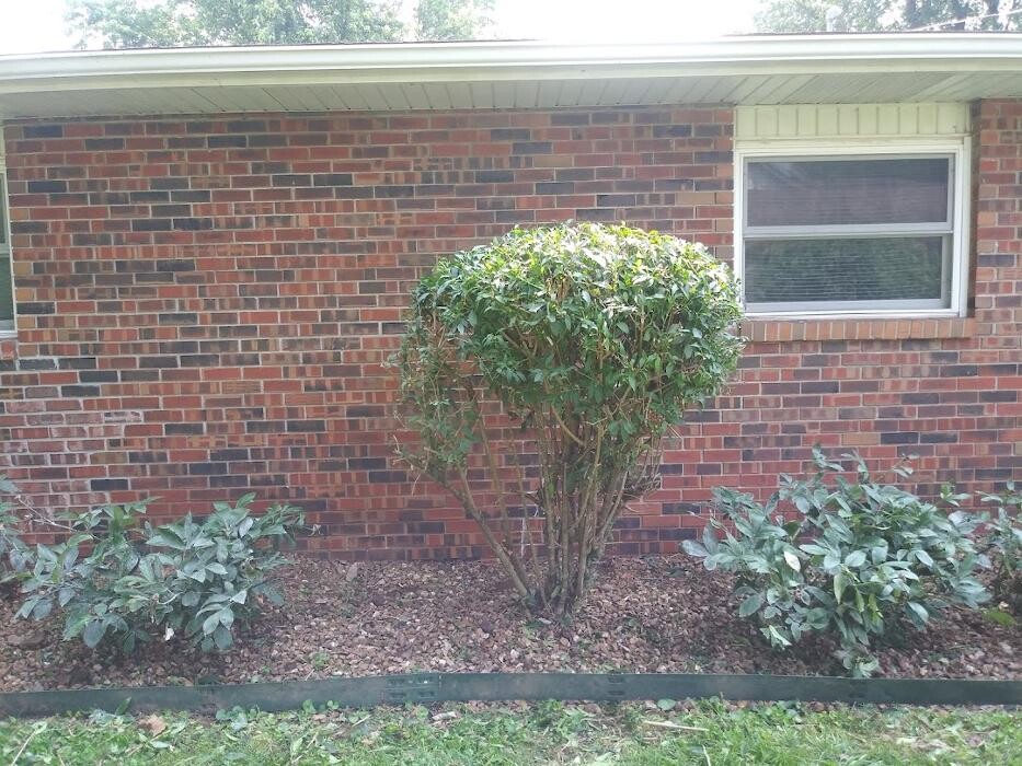 Images Proformance Lawn Care