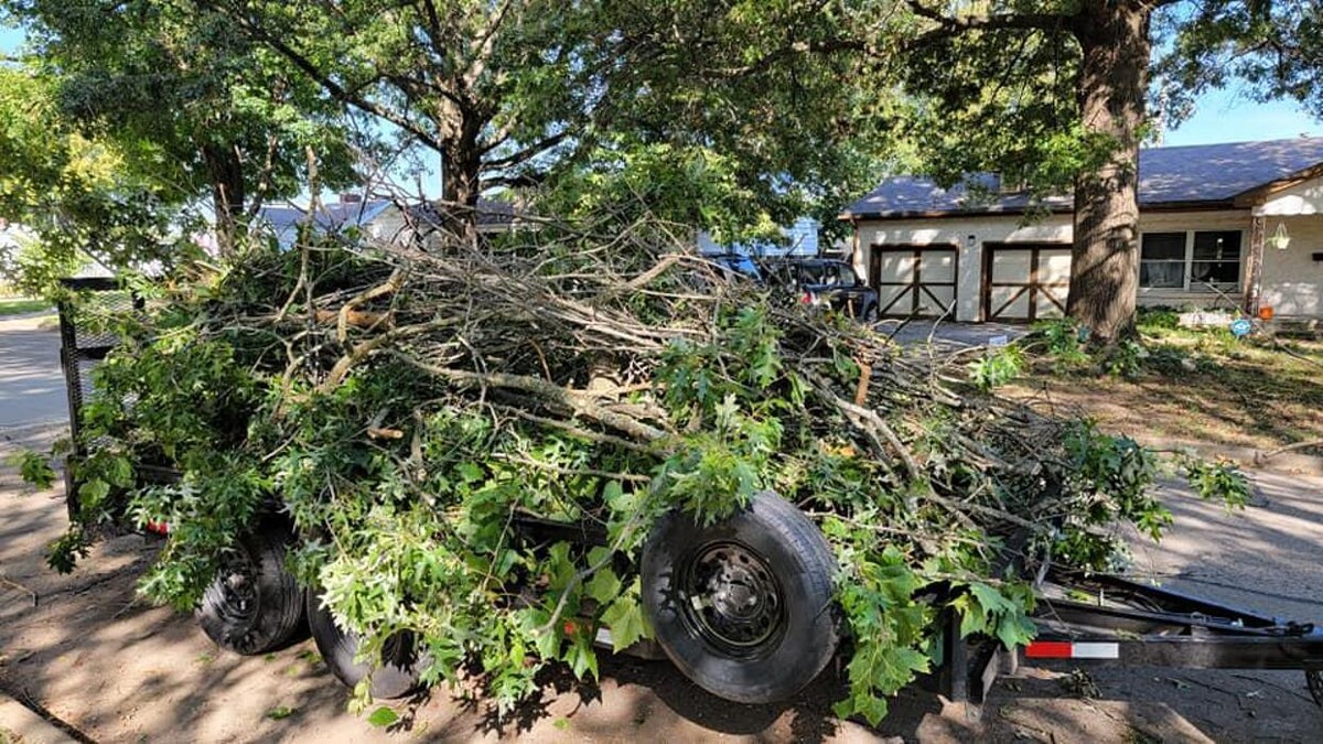 Images Proformance Lawn Care