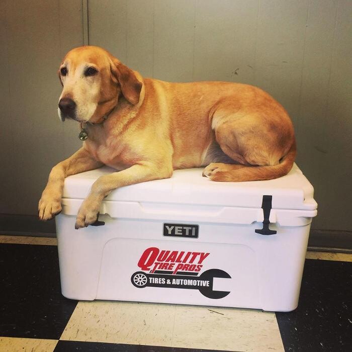 Images Quality Tire Pros