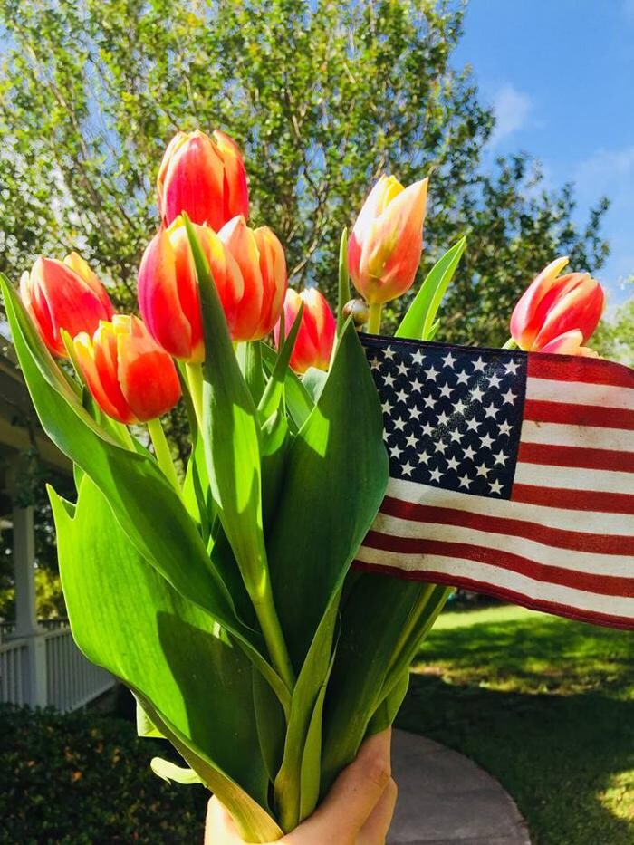 Images Texas-Tulips, LLC