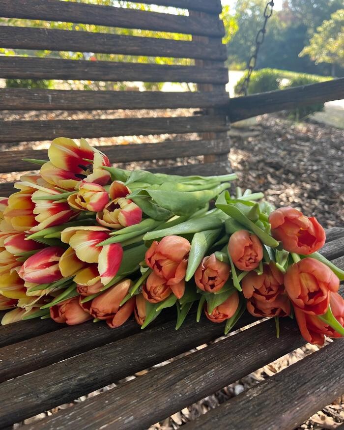 Images Texas-Tulips, LLC