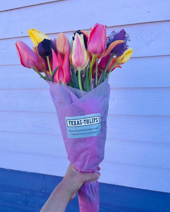 Images Texas-Tulips, LLC
