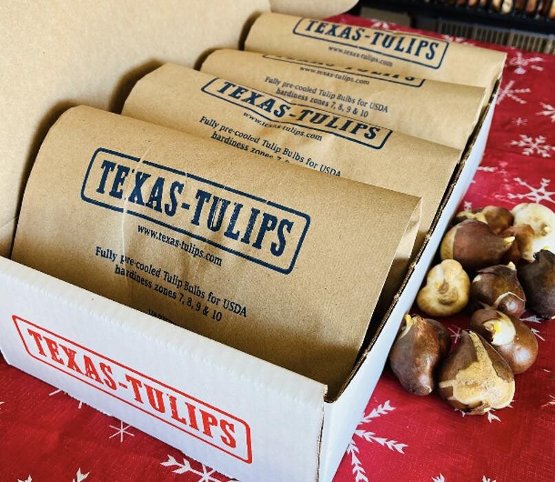 Images Texas-Tulips, LLC
