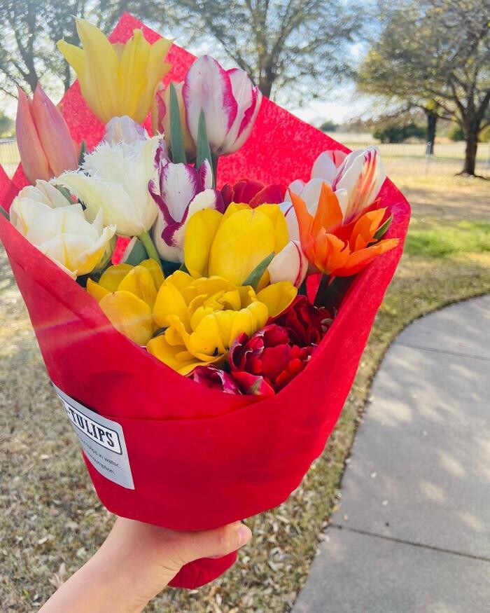 Images Texas-Tulips, LLC